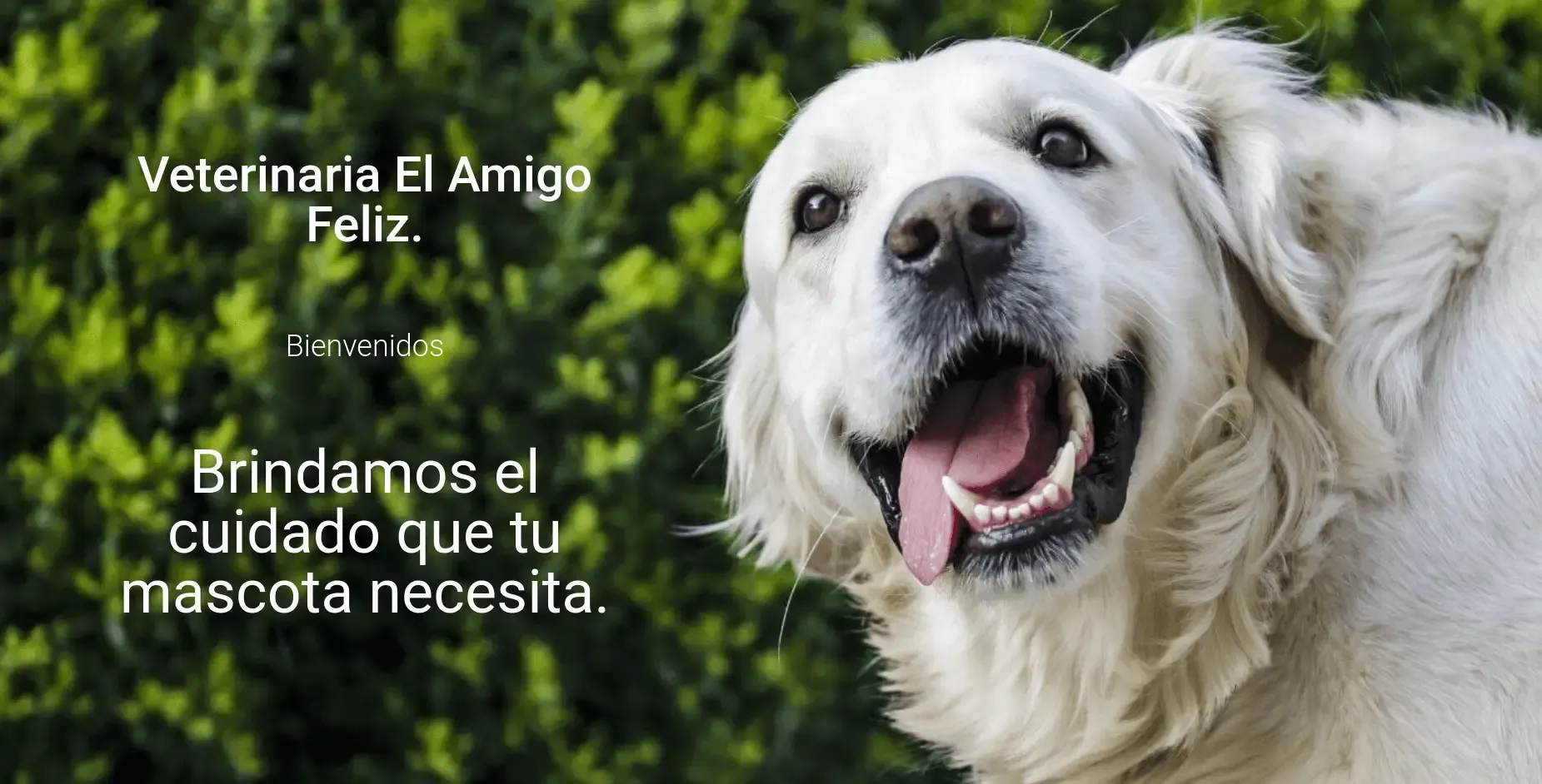 Veterinaria El Amigo Feliz